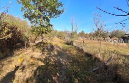 Casă de vânzare, 80 mp, zona Centrală - Bălănești