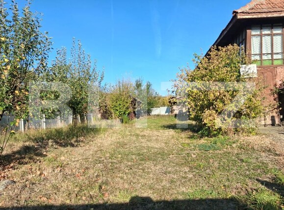 Casa de vânzare 3 camere Balanesti - 208996CV | BLITZ Târgu Jiu | Poza8