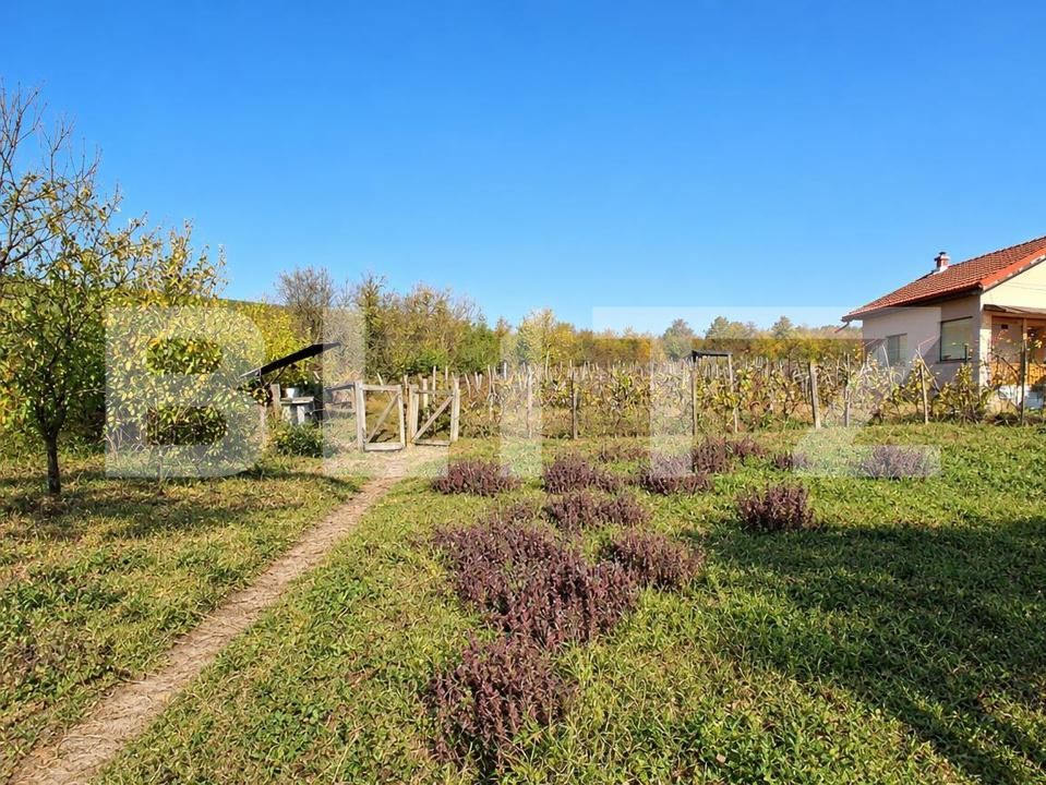 Casa de vânzare 3 camere Balanesti - 208996CV | BLITZ Târgu Jiu | Poza10