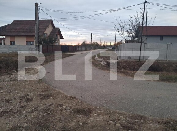Teren de vânzare Cornesti - 209740TV | BLITZ Târgu Jiu | Poza5