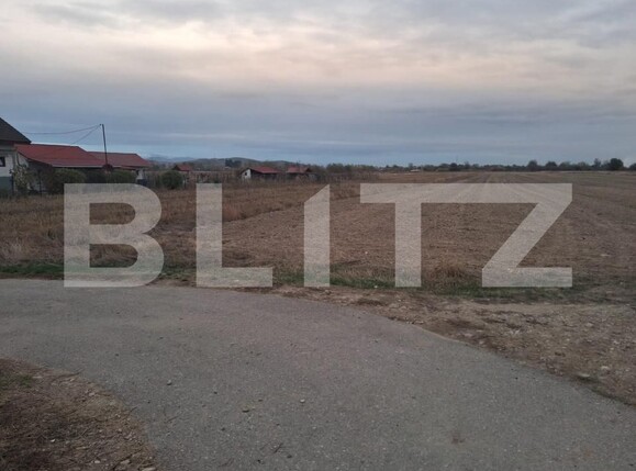Teren de vânzare Cornesti - 209740TV | BLITZ Târgu Jiu | Poza2