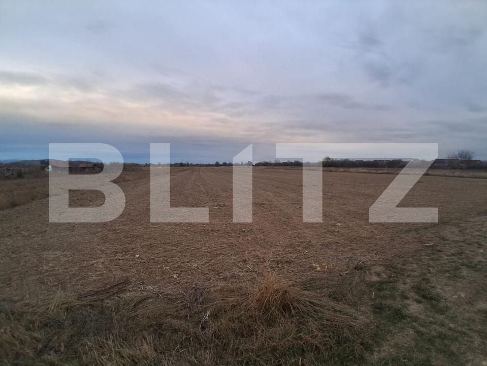 Teren de vânzare Cornesti - 209740TV | BLITZ Târgu Jiu | Poza4