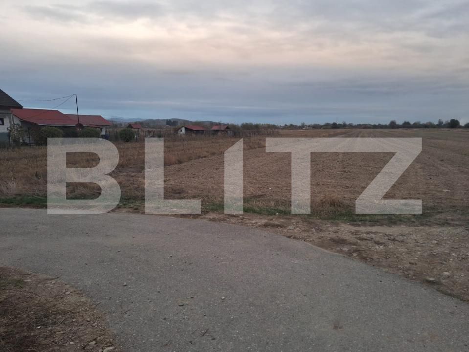 Teren de vânzare Cornesti - 209740TV | BLITZ Târgu Jiu | Poza2
