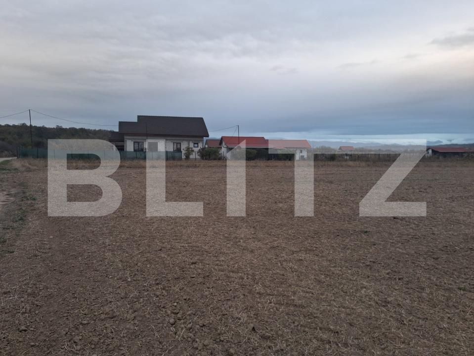 Teren de vânzare Cornesti - 209740TV | BLITZ Târgu Jiu | Poza3