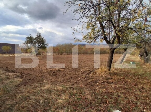 Casa de vânzare 3 camere Polovragi - 209743CV | BLITZ Târgu Jiu | Poza2