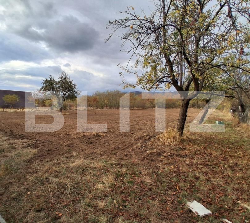Casa de vânzare 3 camere Polovragi - 209743CV | BLITZ Târgu Jiu | Poza2