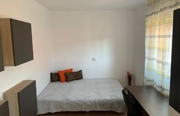 Apartament 2 camere, 50 mp, 7 Noiembrie 