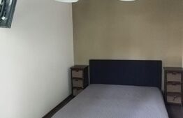 Apartament 3 camere, 44 mp, Dambu Pietros 