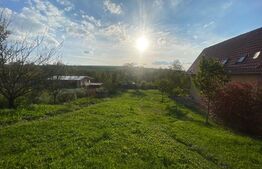 Casa cu 5 camere de 560 mp, teren de 60 arii, in Cerghid