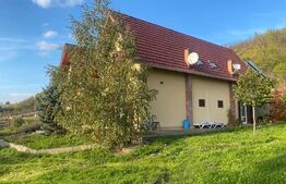 Casa cu 5 camere de 560 mp, teren de 60 arii, in Cerghid