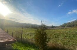 Casa cu 5 camere de 560 mp, teren de 60 arii, in Cerghid