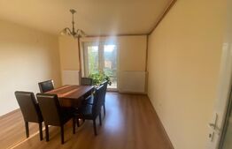 Casa cu 5 camere de 560 mp, teren de 60 arii, in Cerghid