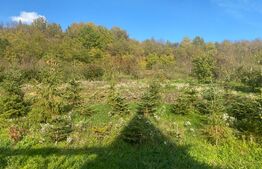 Casa cu 5 camere de 560 mp, teren de 60 arii, in Cerghid