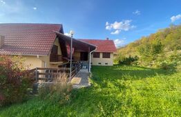 Casa cu 5 camere de 560 mp, teren de 60 arii, in Cerghid