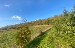 Casa cu 5 camere de 560 mp, teren de 60 arii, in Cerghid