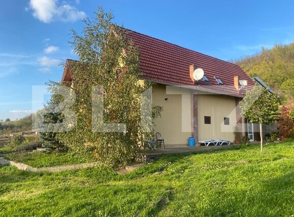 Casa de vânzare 5 camere Exterior Vest - 100501CV | BLITZ Târgu Mureș | Poza1