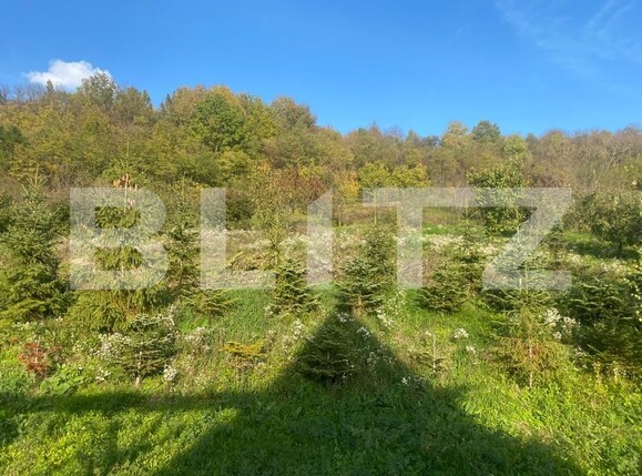 Casa de vânzare 5 camere Exterior Vest - 100501CV | BLITZ Târgu Mureș | Poza14