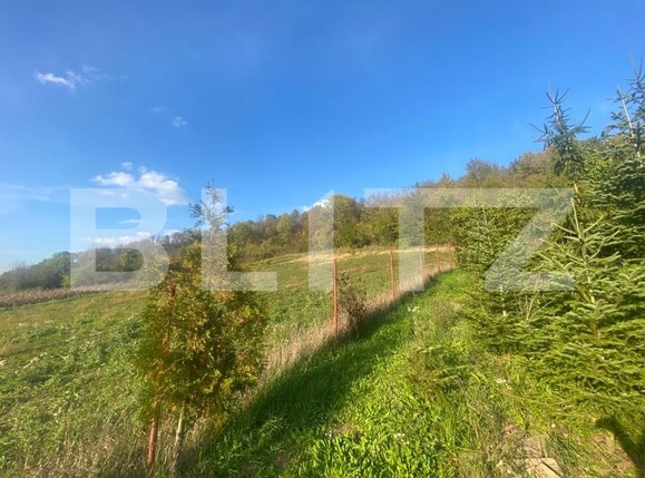 Casa de vânzare 5 camere Exterior Vest - 100501CV | BLITZ Târgu Mureș | Poza13