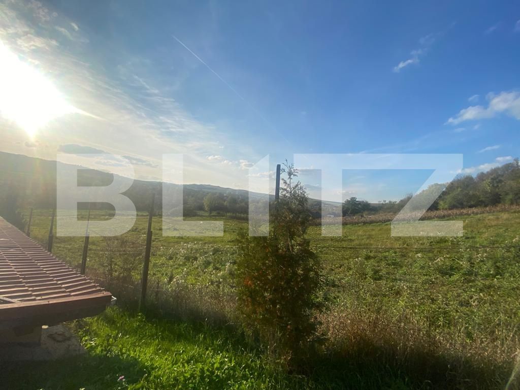 Casa de vânzare 5 camere Exterior Vest - 100501CV | BLITZ Târgu Mureș | Poza12