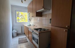 Apartament cu 2 camere, 41 mp, Dambu