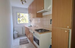 Apartament cu 2 camere, 41 mp, Dambu