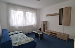 Apartament cu 2 camere, 41 mp, Dambu