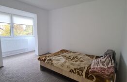 Apartament cu 2 camere, 41 mp, Dambu