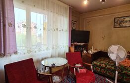 Garsoniera de 29,5 mp, Dambu