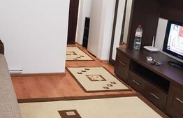 Apartamemt cu o camera, 21mp, Depozitelor