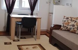 Apartamemt cu o camera, 21mp, Depozitelor