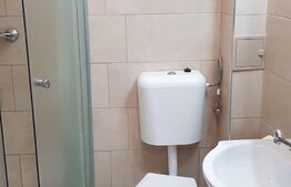 Apartamemt cu o camera, 21mp, Depozitelor