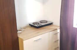 Apartamemt cu o camera, 21mp, Depozitelor