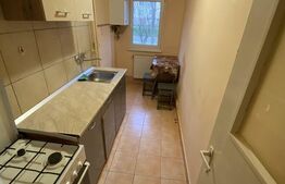 Garsoniera, 30 mp, Tudor