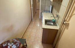 Garsoniera, 30 mp, Tudor