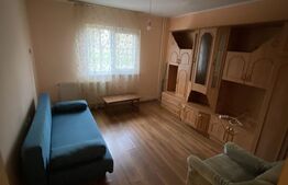 Garsoniera, 30 mp, Tudor