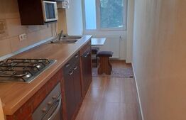 Apartament cu 1 camera, 27 mp, parter, Tudor