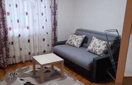 Apartament cu 1 camera, 27 mp, parter, Tudor