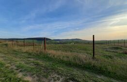 Teren intravilan, 900 mp, Exterior Vest Ernei