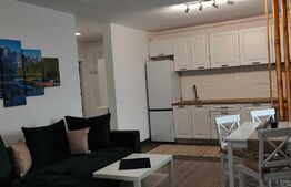 Garsoniera de 45 mp, Mureseni