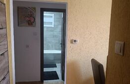 Apartament 2 camere, 60 mp, Tudor
