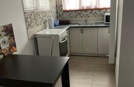 Apartament 2 camere, 55 mp, Cornisa