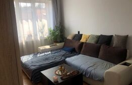 Apartament 2 camere, 44 mp, zona Centrala 