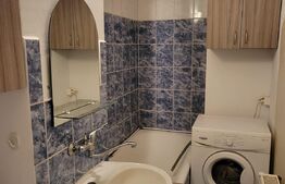 Apartament cu o camera, 30mp, Tudor