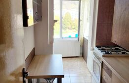 Apartament cu o camera, 30mp, Tudor