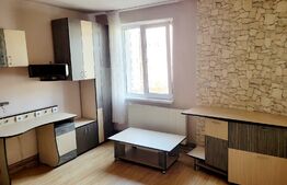 Apartament cu o camera, 30mp, Tudor