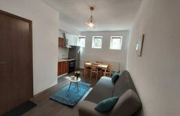 Apartament cu o camera, 27mp, 7 Noiembrie