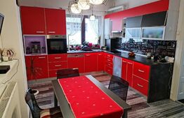 Casa 4 camere + ap + garaj 125 mp utili, 1000mp, Central