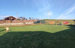 Casa 4 camere + apartament, 230 mp , Nazna