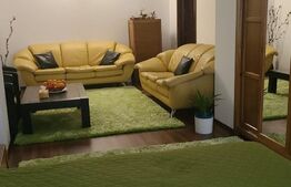 Proprietate cu doua imobile, cu intrari separate, teren cu 330 mp, Cornisa