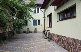 Proprietate cu doua imobile, cu intrari separate, teren cu 330 mp, Cornisa